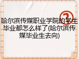 哈尔滨传媒职业学院的学生毕业都怎么样了(哈尔滨传媒毕业生去向)