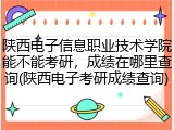 陕西电子信息职业技术学院能不能考研，成绩在哪里查询(陕西电子考研成绩查询)
