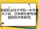 鹤壁职业技术学院一年学费多少钱，还有哪些费用(鹤壁职院学费费用)