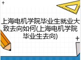 上海电机学院毕业生就业大致去向如何(上海电机学院毕业生去向)