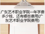 广东艺术职业学院一年学费多少钱，还有哪些费用(广东艺术职业学院费用)