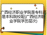 广西经济职业学院是专科还是本科院校呢(广西经济职业学院学历层次)