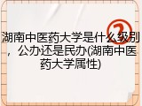 湖南中医药大学是什么级别，公办还是民办(湖南中医药大学属性)