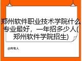 郑州软件职业技术学院什么专业最好，一年招多少人(郑州软件学院招生)