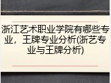 浙江艺术职业学院有哪些专业，王牌专业分析(浙艺专业与王牌分析)