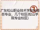 广东松山职业技术学院有哪些专业，几个校区(松山学院专业校区)