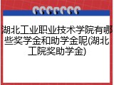 湖北工业职业技术学院有哪些奖学金和助学金呢(湖北工院奖助学金)
