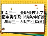 湖南三一工业职业技术学院招生类型及申请条件解读(湖南三一职院招生简章)