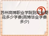 苏州高博职业学院到毕业要花多少学费(高博毕业学费多少)