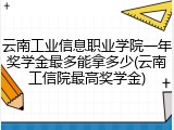 云南工业信息职业学院一年奖学金最多能拿多少(云南工信院最高奖学金)