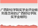 广西财经学院奖学金评定细则是怎样的(广西财经学院奖学金细则)