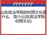 山东政法学院的校园文化是什么，简介(山东政法学院校园文化)