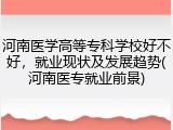 河南医学高等专科学校好不好，就业现状及发展趋势(河南医专就业前景)
