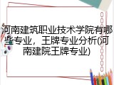河南建筑职业技术学院有哪些专业，王牌专业分析(河南建院王牌专业)