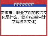 安徽审计职业学院的校园文化是什么，简介(安徽审计学院校园文化)