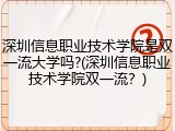 深圳信息职业技术学院是双一流大学吗?(深圳信息职业技术学院双一流？)