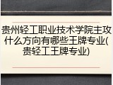 贵州轻工职业技术学院主攻什么方向有哪些王牌专业(贵轻工王牌专业)