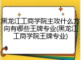 黑龙江工商学院主攻什么方向有哪些王牌专业(黑龙江工商学院王牌专业)