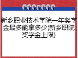 新乡职业技术学院一年奖学金最多能拿多少(新乡职院奖学金上限)