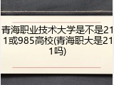 青海职业技术大学是不是211或985高校(青海职大是211吗)