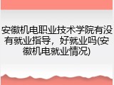 安徽机电职业技术学院有没有就业指导，好就业吗(安徽机电就业情况)
