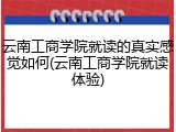云南工商学院就读的真实感觉如何(云南工商学院就读体验)