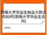 渤海大学毕业生就业大致去向如何(渤海大学毕业生去向)