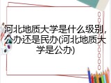 河北地质大学是什么级别，公办还是民办(河北地质大学是公办)