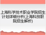 上海科学技术职业学院招生计划详细分析(上海科技职院招生解析)