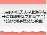 北京航空航天大学北海学院开设有哪些奖学和助学金(北航北海学院奖助学金)