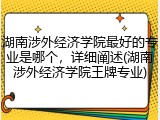 湖南涉外经济学院最好的专业是哪个，详细阐述(湖南涉外经济学院王牌专业)