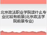 北京政法职业学院读什么专业比较有前景(北京政法学院前景专业)