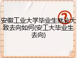 安徽工业大学毕业生就业大致去向如何(安工大毕业生去向)