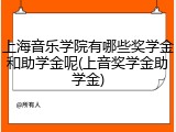 上海音乐学院有哪些奖学金和助学金呢(上音奖学金助学金)