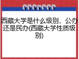 西藏大学是什么级别，公办还是民办(西藏大学性质级别)