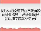 长沙轨道交通职业学院有没有就业指导，好就业吗(长沙轨道学院就业指导)