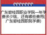 广东碧桂园职业学院一年学费多少钱，还有哪些费用(广东碧桂园职院学费)