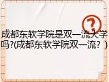 成都东软学院是双一流大学吗?(成都东软学院双一流？)
