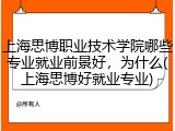 上海思博职业技术学院哪些专业就业前景好，为什么(上海思博好就业专业)