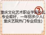 重庆文化艺术职业学院什么专业最好，一年招多少人(重庆艺院热门专业招生)