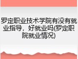 罗定职业技术学院有没有就业指导，好就业吗(罗定职院就业情况)