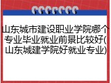 山东城市建设职业学院哪个专业毕业就业前景比较好(山东城建学院好就业专业)