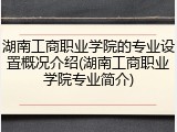湖南工商职业学院的专业设置概况介绍(湖南工商职业学院专业简介)