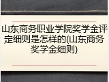 山东商务职业学院奖学金评定细则是怎样的(山东商务奖学金细则)