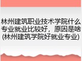 林州建筑职业技术学院什么专业就业比较好，原因是啥(林州建筑学院好就业专业)