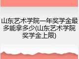 山东艺术学院一年奖学金最多能拿多少(山东艺术学院奖学金上限)