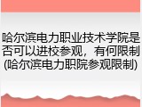 哈尔滨电力职业技术学院是否可以进校参观，有何限制(哈尔滨电力职院参观限制)
