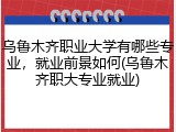 乌鲁木齐职业大学有哪些专业，就业前景如何(乌鲁木齐职大专业就业)