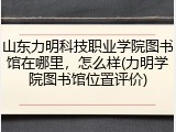 山东力明科技职业学院图书馆在哪里，怎么样(力明学院图书馆位置评价)