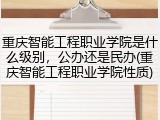 重庆智能工程职业学院是什么级别，公办还是民办(重庆智能工程职业学院性质)